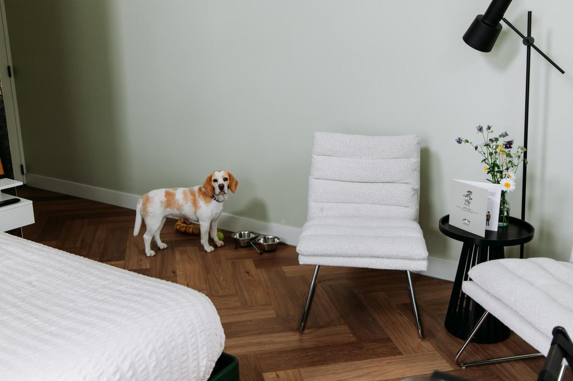 Boutique B&B Oud Aa Брукелен Екстериор снимка